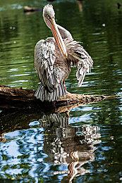 《星刃》早期动捕视频欣赏 果然还是男人更懂女人